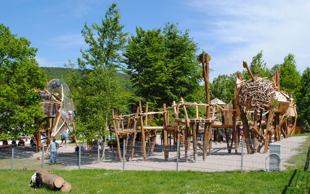 Baumwipfelpfad & Lütte Schüün